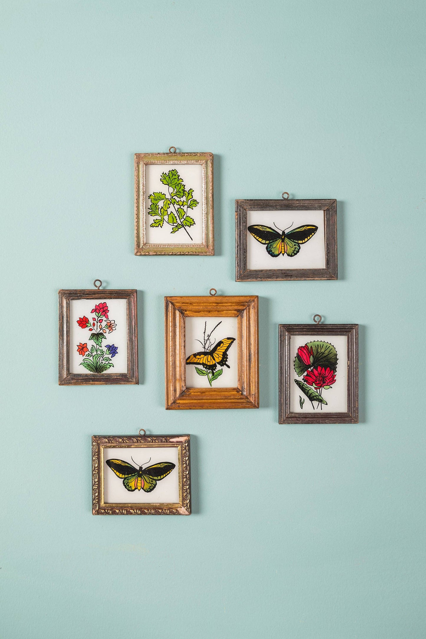 Tiny Old Wood Frame with Botanical/Wildlife Painting