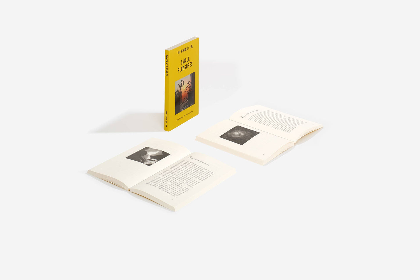 Small Pleasures - UK Paperback