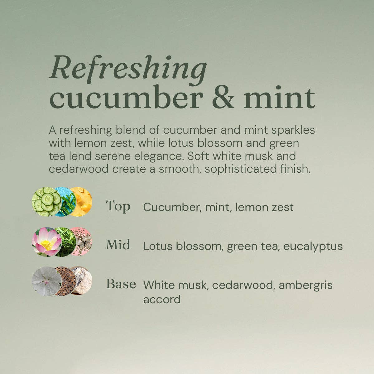 Anti-Bac Bathroom Cleaner - Cucumber + Mint 5L Refill: 5L Refill