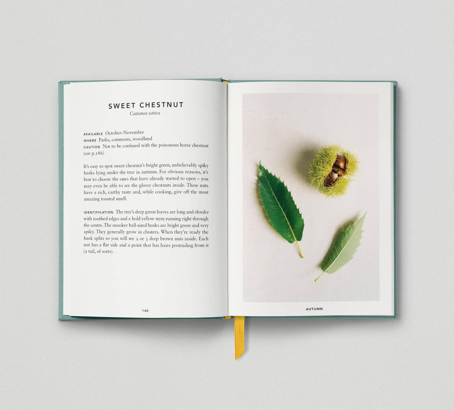 The Urban Forager