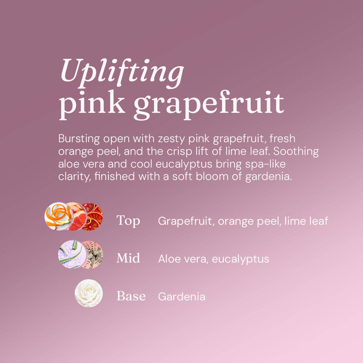 Anti-Bac Surface Cleaner - Pink Grapefruit 5L Refill: 5L Refill
