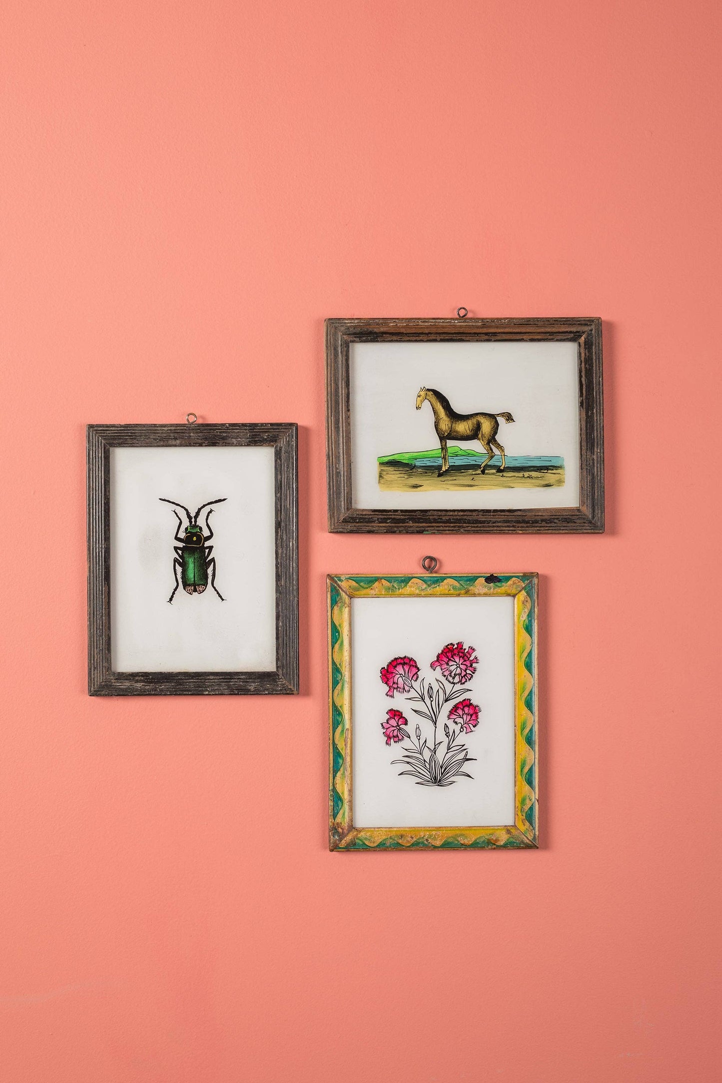 Medium Old Wood Frame with Botanical/Wildlife Painting