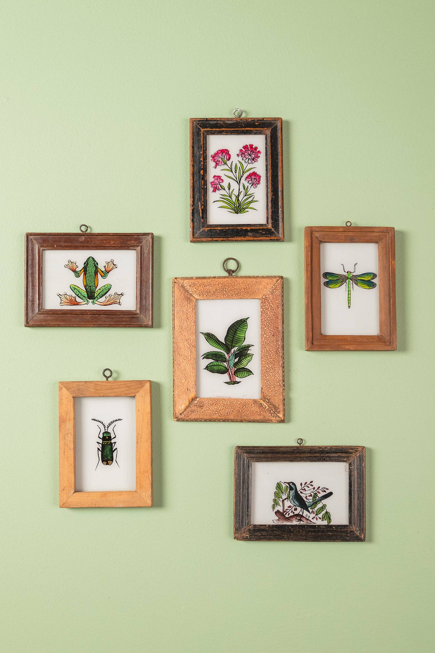 Small Old Wood Frame with Botanical/Wildlife Painting