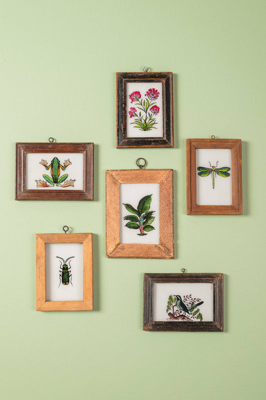 Small Old Wood Frame with Botanical/Wildlife Painting