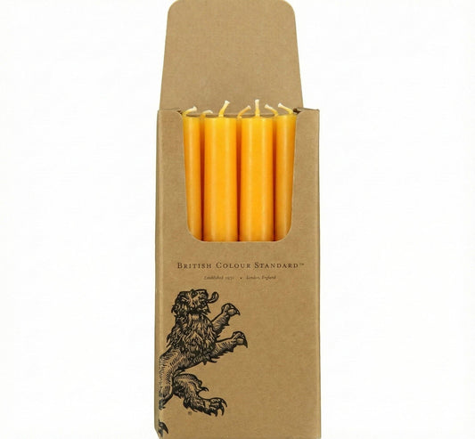 Bright Orange Eco Dinner Candles, 25 per pack: 1