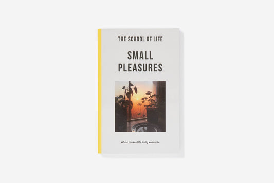Small Pleasures - UK Paperback